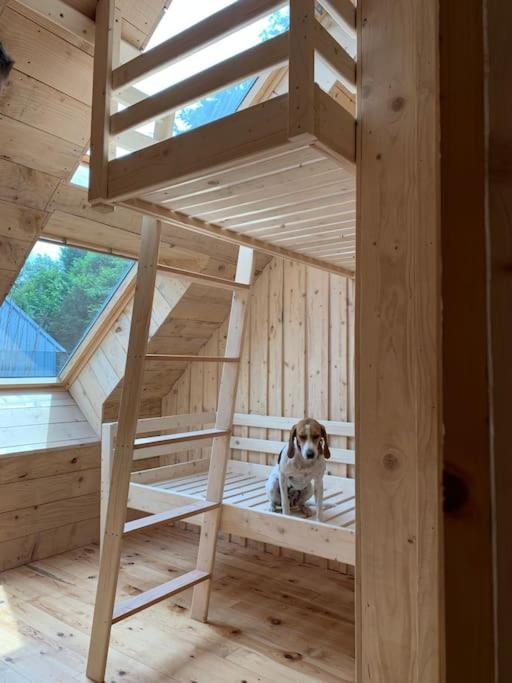 La Grange De La Gratade Villa Rochefort-Montagne Eksteriør bilde